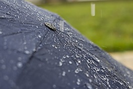 傘,雨,水