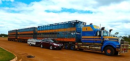公路火车,卡车,交通