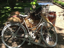 自行車,太陽(yáng),夏天