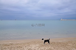 海,海洋,海灘