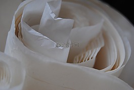 紙張,羊皮紙,比爾