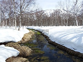 春天,融化的冰雪,水坑