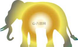 象,厚皮,動物