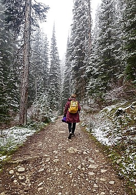 冬天,迷航,冒險