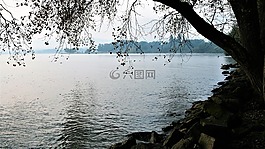 早上,湖,海灘