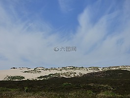 敘爾特島,沙丘,草