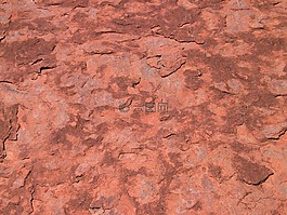 地球,沙漠,干