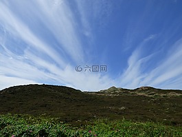 敘爾特島,沙丘,草