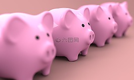 小猪,银行,钱