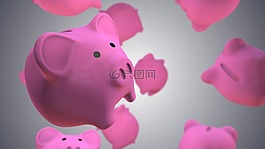 小猪,银行,钱