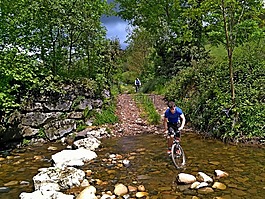 mtb,山地自行車,景觀
