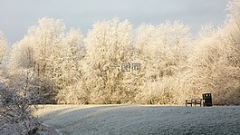 降雪,冬天,風景