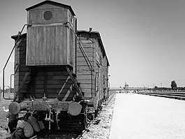 auschvitz - 比克瑙,火車,集中營