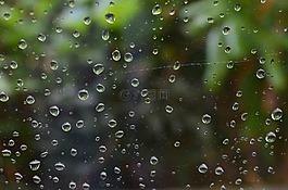 雨滴,滴,一滴水