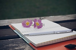 長凳,鮮花,筆記本