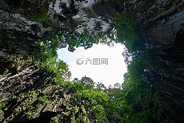 洞穴,性質(zhì),樹