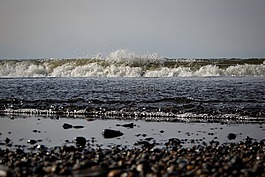 自然,海,海灘