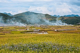 越南,dienbien,景观