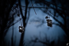 春,晚上,自然