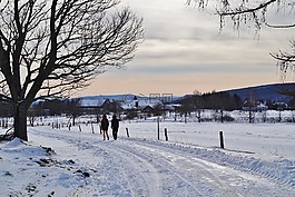 冬天,雪,路径