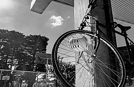 自行車,黑色白色,車輪