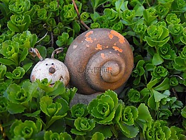 蜗牛,这座雕像的,雕像
