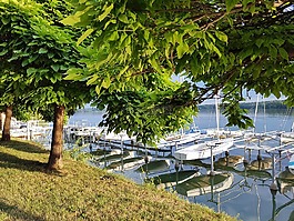 夏季,湖,水