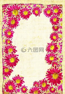 文具,花卉,紅色
