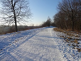 離,冬天,公園