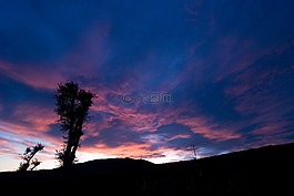 側(cè)影,樹,天空