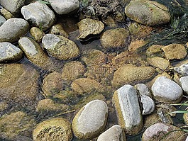 水,石頭,休息