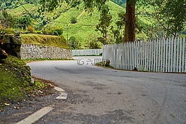 路,籬笆,瀝青