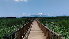 efteni湖、自然,golyaka,畫