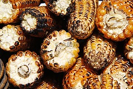 玉米,食品,黃色
