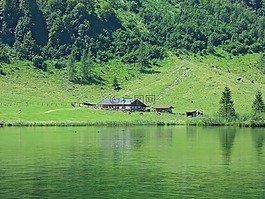 alm 小屋,农场,农业