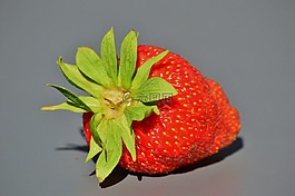 草莓,水果,食品