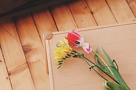 鮮花,自然,開花