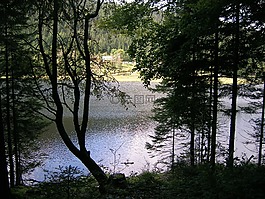 kleiner arbersee,巴伐利亚,bergsee