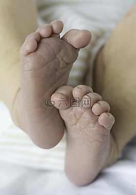 嬰兒,腳,新生