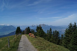 徒步旅行,山,高山
