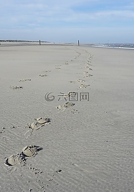 海灘,痕跡,蹄