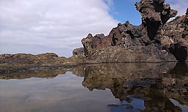 海,性質(zhì),池塘