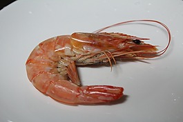 蝦,烹飪,食品