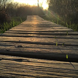 木橋,日落,太陽
