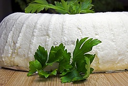 奶酪,白,食品