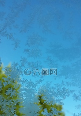 霜,窗口,車