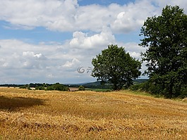 夏季,討厭山,上部 franconia