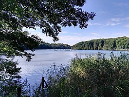 湖,水,徒步旅行