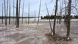 國家公園,黃石,美國
