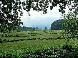 草地,草,割草